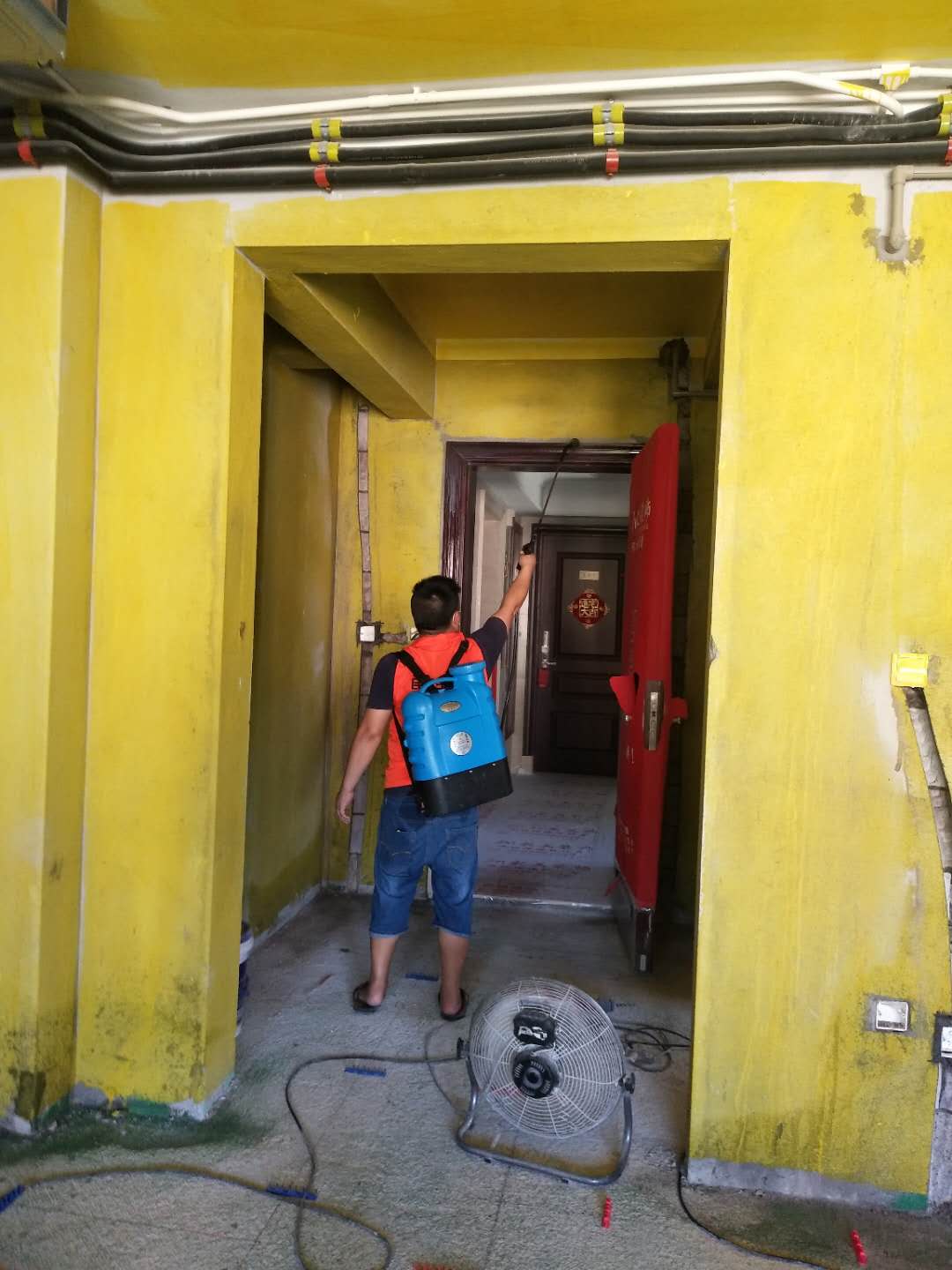 1602989528451489.jpg 1602989528451489.jpg